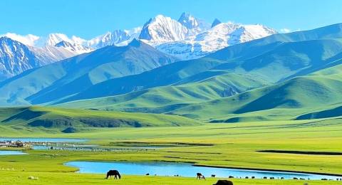 祁連大草原